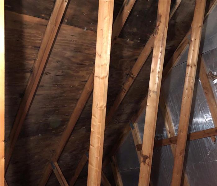 Photo of the attic with mold growth on the roof