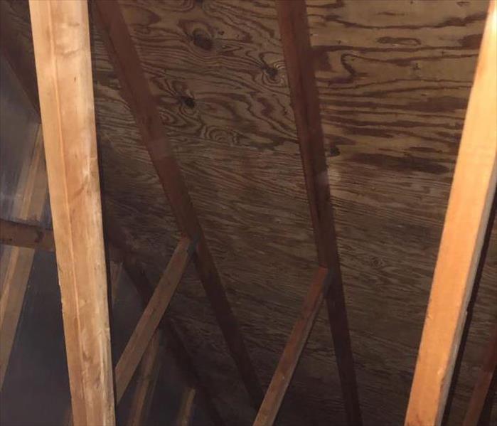 Photo of the attic roof after cleaning showing no mold