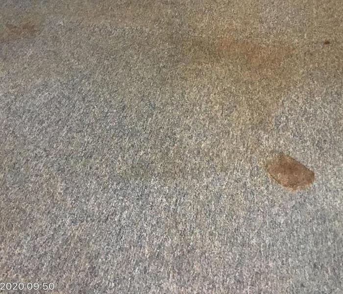 Photo of dirty carpet in apartment 