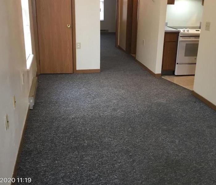 Photo of carpet cleaned in apartment